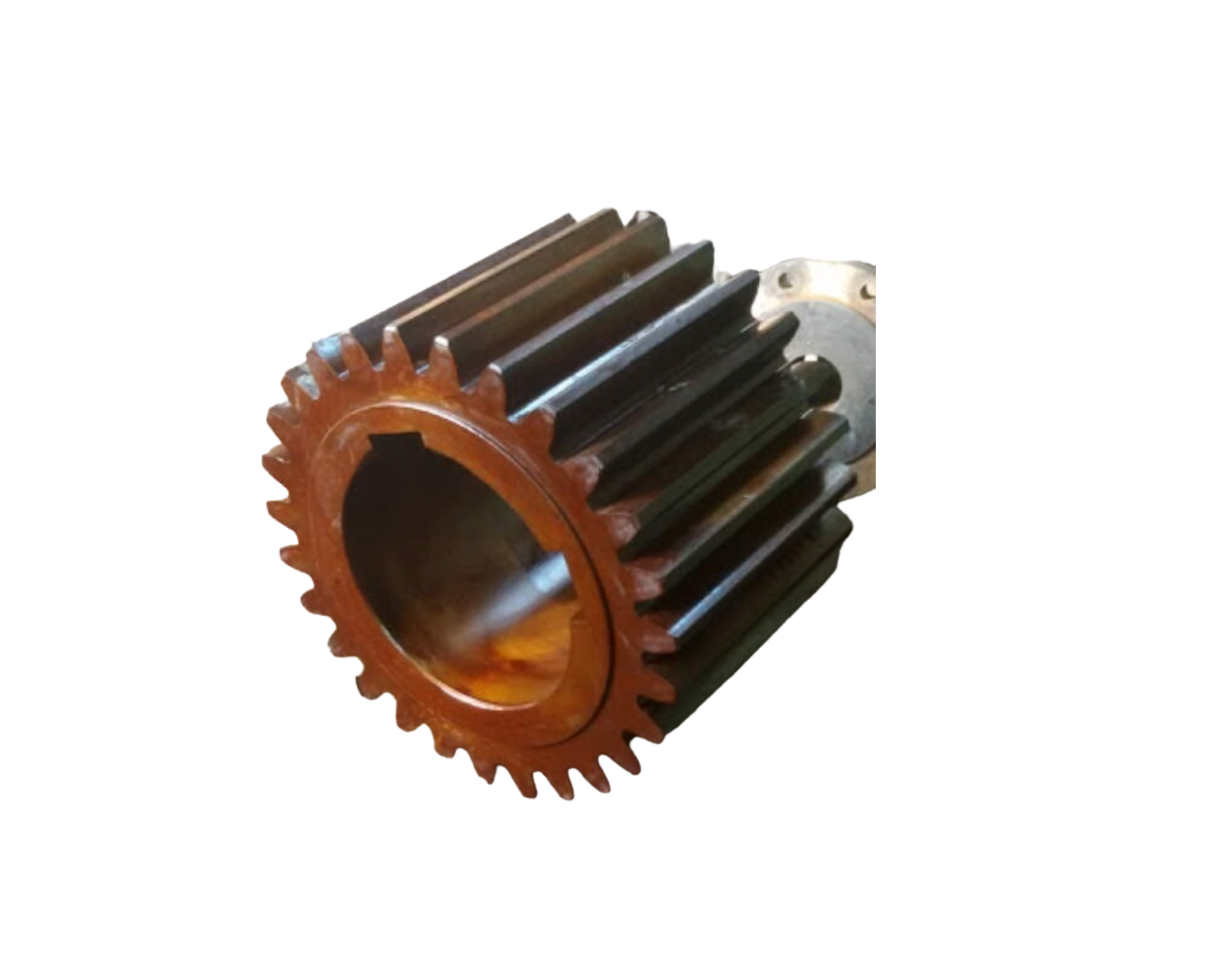 Spur Pinion
